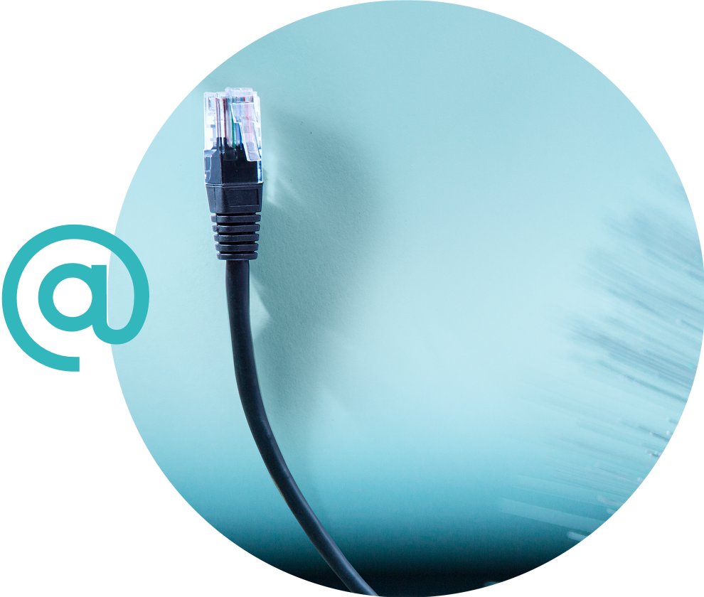 Netzwerkkabel mit Internet Icon